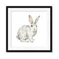 Picture of Forest Bunny _GroupedProduct_Square_Mini_ _GroupedProduct_Square_Framed_Matted_