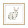 Picture of Forest Bunny _GroupedProduct_Square_Mini_ _GroupedProduct_Square_Framed_Matted_