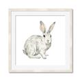 Picture of Forest Bunny _GroupedProduct_Square_Mini_ _GroupedProduct_Square_Framed_Matted_