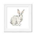 Picture of Forest Bunny _GroupedProduct_Square_Mini_ _GroupedProduct_Square_Framed_Matted_