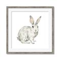 Picture of Forest Bunny _GroupedProduct_Square_Mini_ _GroupedProduct_Square_Framed_Matted_