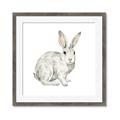 Picture of Forest Bunny _GroupedProduct_Square_Mini_ _GroupedProduct_Square_Framed_Matted_