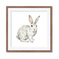 Picture of Forest Bunny _GroupedProduct_Square_Mini_ _GroupedProduct_Square_Framed_Matted_