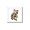 Picture of Forest Bear _GroupedProduct_Square_Mini_ _GroupedProduct_Square_Framed_Matted_