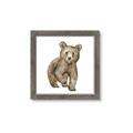 Picture of Forest Bear _GroupedProduct_Square_Mini_ _GroupedProduct_Square_Framed_Matted_