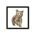 Picture of Forest Bear _GroupedProduct_Square_Mini_ _GroupedProduct_Square_Framed_Matted_