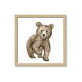 Picture of Forest Bear _GroupedProduct_Square_Mini_ _GroupedProduct_Square_Framed_Matted_