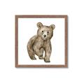 Picture of Forest Bear _GroupedProduct_Square_Mini_ _GroupedProduct_Square_Framed_Matted_