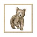 Picture of Forest Bear _GroupedProduct_Square_Mini_ _GroupedProduct_Square_Framed_Matted_