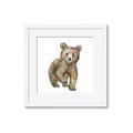 Picture of Forest Bear _GroupedProduct_Square_Mini_ _GroupedProduct_Square_Framed_Matted_