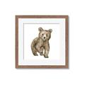 Picture of Forest Bear _GroupedProduct_Square_Mini_ _GroupedProduct_Square_Framed_Matted_