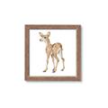Picture of Forest Deer _GroupedProduct_Square_Mini_ _GroupedProduct_Square_Framed_Matted_