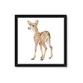 Picture of Forest Deer _GroupedProduct_Square_Mini_ _GroupedProduct_Square_Framed_Matted_