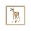 Picture of Forest Deer _GroupedProduct_Square_Mini_ _GroupedProduct_Square_Framed_Matted_