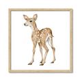 Picture of Forest Deer _GroupedProduct_Square_Mini_ _GroupedProduct_Square_Framed_Matted_
