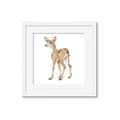 Picture of Forest Deer _GroupedProduct_Square_Mini_ _GroupedProduct_Square_Framed_Matted_
