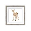 Picture of Forest Deer _GroupedProduct_Square_Mini_ _GroupedProduct_Square_Framed_Matted_