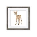 Picture of Forest Deer _GroupedProduct_Square_Mini_ _GroupedProduct_Square_Framed_Matted_