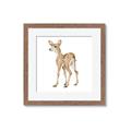 Picture of Forest Deer _GroupedProduct_Square_Mini_ _GroupedProduct_Square_Framed_Matted_