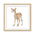 Picture of Forest Deer _GroupedProduct_Square_Mini_ _GroupedProduct_Square_Framed_Matted_