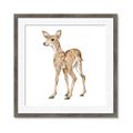 Picture of Forest Deer _GroupedProduct_Square_Mini_ _GroupedProduct_Square_Framed_Matted_