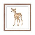 Picture of Forest Deer _GroupedProduct_Square_Mini_ _GroupedProduct_Square_Framed_Matted_