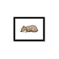 Picture of Baby grizzly bear I _GroupedProduct_Rectangle_Landscape_Mini_ _GroupedProduct_Rectangle_Landscape_Framed_Matted_