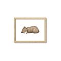 Picture of Baby grizzly bear I _GroupedProduct_Rectangle_Landscape_Mini_ _GroupedProduct_Rectangle_Landscape_Framed_Matted_