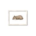 Picture of Baby grizzly bear I _GroupedProduct_Rectangle_Landscape_Mini_ _GroupedProduct_Rectangle_Landscape_Framed_Matted_