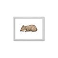 Picture of Baby grizzly bear I _GroupedProduct_Rectangle_Landscape_Mini_ _GroupedProduct_Rectangle_Landscape_Framed_Matted_