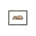 Picture of Baby grizzly bear I _GroupedProduct_Rectangle_Landscape_Mini_ _GroupedProduct_Rectangle_Landscape_Framed_Matted_