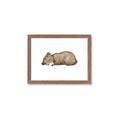 Picture of Baby grizzly bear I _GroupedProduct_Rectangle_Landscape_Mini_ _GroupedProduct_Rectangle_Landscape_Framed_Matted_
