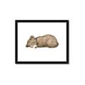 Picture of Baby grizzly bear I _GroupedProduct_Rectangle_Landscape_Mini_ _GroupedProduct_Rectangle_Landscape_Framed_Matted_