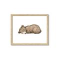 Picture of Baby grizzly bear I _GroupedProduct_Rectangle_Landscape_Mini_ _GroupedProduct_Rectangle_Landscape_Framed_Matted_