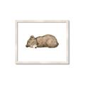 Picture of Baby grizzly bear I _GroupedProduct_Rectangle_Landscape_Mini_ _GroupedProduct_Rectangle_Landscape_Framed_Matted_