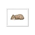 Picture of Baby grizzly bear I _GroupedProduct_Rectangle_Landscape_Mini_ _GroupedProduct_Rectangle_Landscape_Framed_Matted_