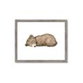 Picture of Baby grizzly bear I _GroupedProduct_Rectangle_Landscape_Mini_ _GroupedProduct_Rectangle_Landscape_Framed_Matted_