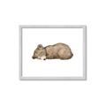 Picture of Baby grizzly bear I _GroupedProduct_Rectangle_Landscape_Mini_ _GroupedProduct_Rectangle_Landscape_Framed_Matted_