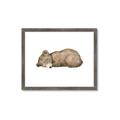 Picture of Baby grizzly bear I _GroupedProduct_Rectangle_Landscape_Mini_ _GroupedProduct_Rectangle_Landscape_Framed_Matted_