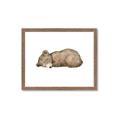 Picture of Baby grizzly bear I _GroupedProduct_Rectangle_Landscape_Mini_ _GroupedProduct_Rectangle_Landscape_Framed_Matted_