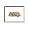 Picture of Baby grizzly bear I _GroupedProduct_Rectangle_Landscape_Mini_ _GroupedProduct_Rectangle_Landscape_Framed_Matted_