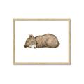 Picture of Baby grizzly bear I _GroupedProduct_Rectangle_Landscape_Mini_ _GroupedProduct_Rectangle_Landscape_Framed_Matted_