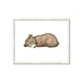 Picture of Baby grizzly bear I _GroupedProduct_Rectangle_Landscape_Mini_ _GroupedProduct_Rectangle_Landscape_Framed_Matted_