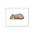 Picture of Baby grizzly bear I _GroupedProduct_Rectangle_Landscape_Mini_ _GroupedProduct_Rectangle_Landscape_Framed_Matted_