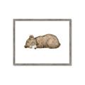 Picture of Baby grizzly bear I _GroupedProduct_Rectangle_Landscape_Mini_ _GroupedProduct_Rectangle_Landscape_Framed_Matted_
