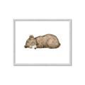 Picture of Baby grizzly bear I _GroupedProduct_Rectangle_Landscape_Mini_ _GroupedProduct_Rectangle_Landscape_Framed_Matted_