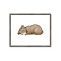 Picture of Baby grizzly bear I _GroupedProduct_Rectangle_Landscape_Mini_ _GroupedProduct_Rectangle_Landscape_Framed_Matted_