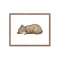 Picture of Baby grizzly bear I _GroupedProduct_Rectangle_Landscape_Mini_ _GroupedProduct_Rectangle_Landscape_Framed_Matted_