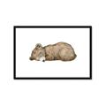 Picture of Baby grizzly bear I _GroupedProduct_Rectangle_Landscape_Mini_ _GroupedProduct_Rectangle_Landscape_Framed_Matted_