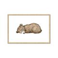 Picture of Baby grizzly bear I _GroupedProduct_Rectangle_Landscape_Mini_ _GroupedProduct_Rectangle_Landscape_Framed_Matted_
